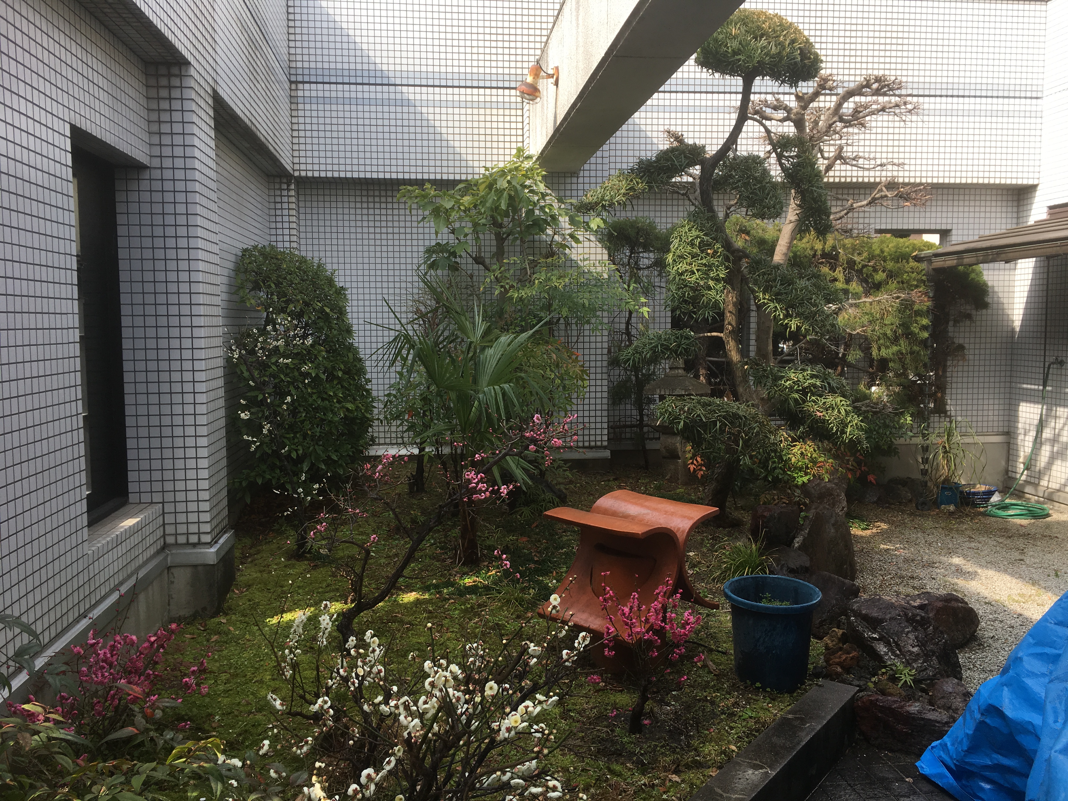 マンション緑地管理