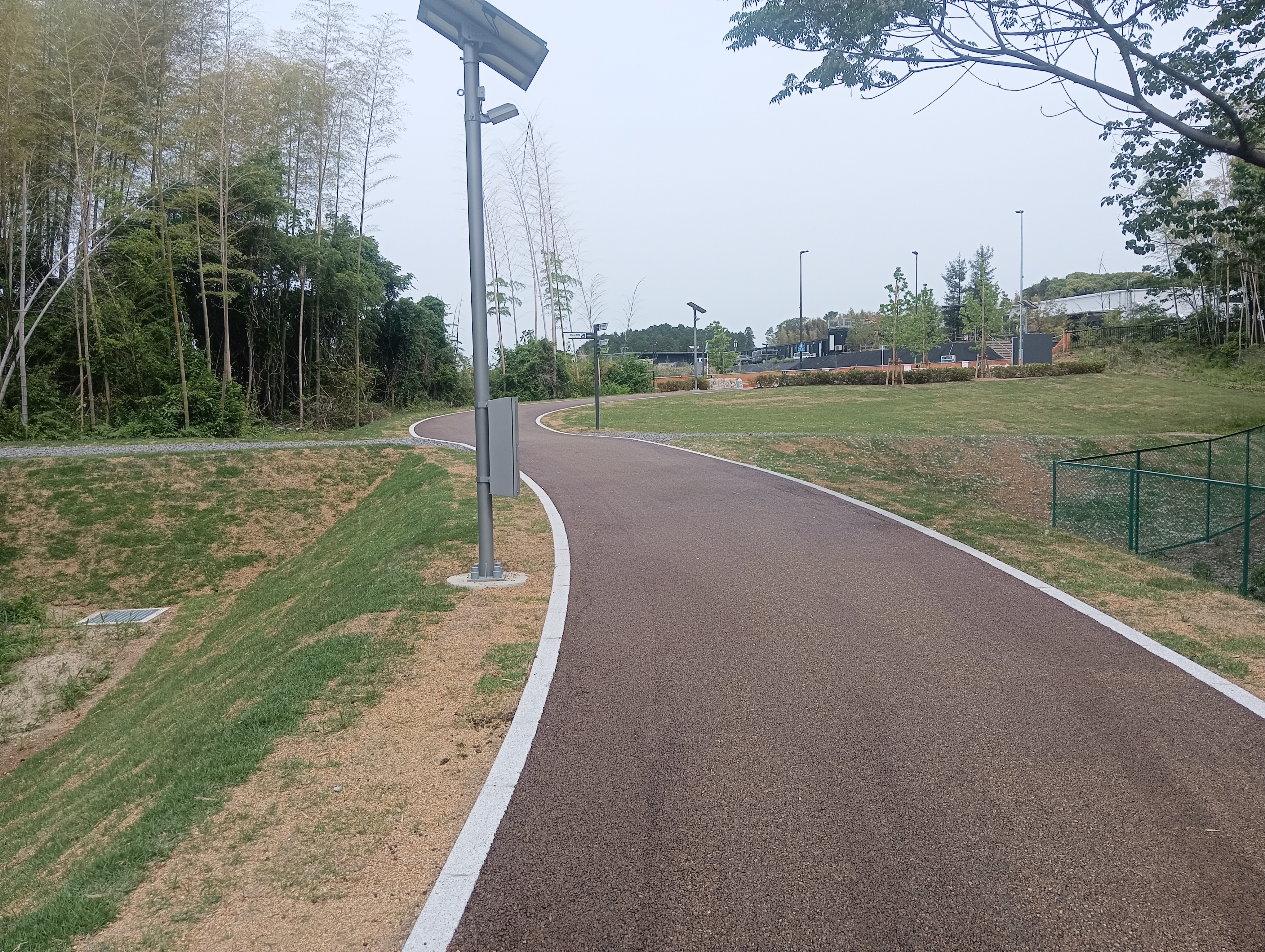 蜻蛉池公園舗装